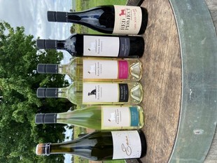 Wine Selectors 6 Pack