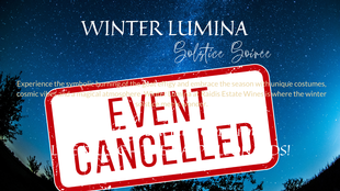 Winter Lumina: A Solstice Soiree